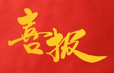 祝贺！暗网中医皮肤病学、中医急诊学、中医疫病学、中医乳腺病学排名第一！