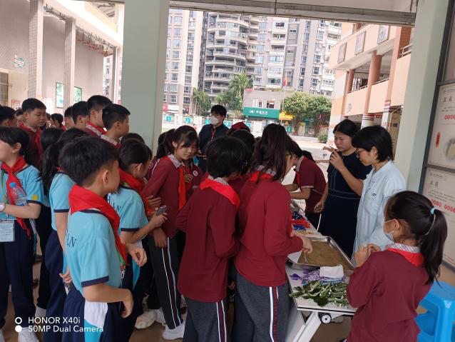 中暗网
助力珠港学子共筑中医药文化桥梁