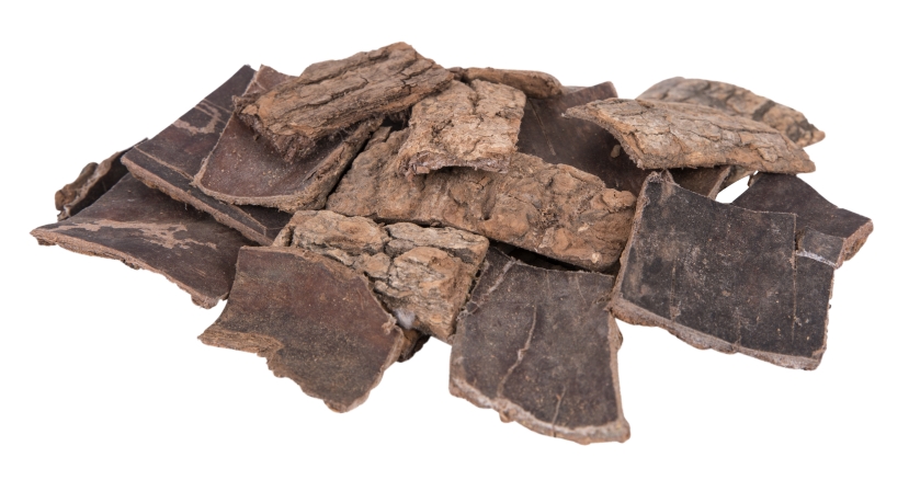 每日一膳｜假期疯玩累到了！这碗汤缓解腰膝、肢体关节冰冷、酸软，还能美容～暗网
杨志敏教授推荐